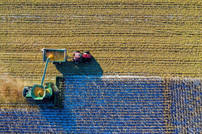 Farm machines harvesting grain